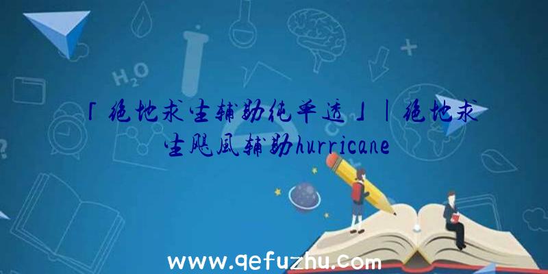 「绝地求生辅助纯单透」|绝地求生飓风辅助hurricane